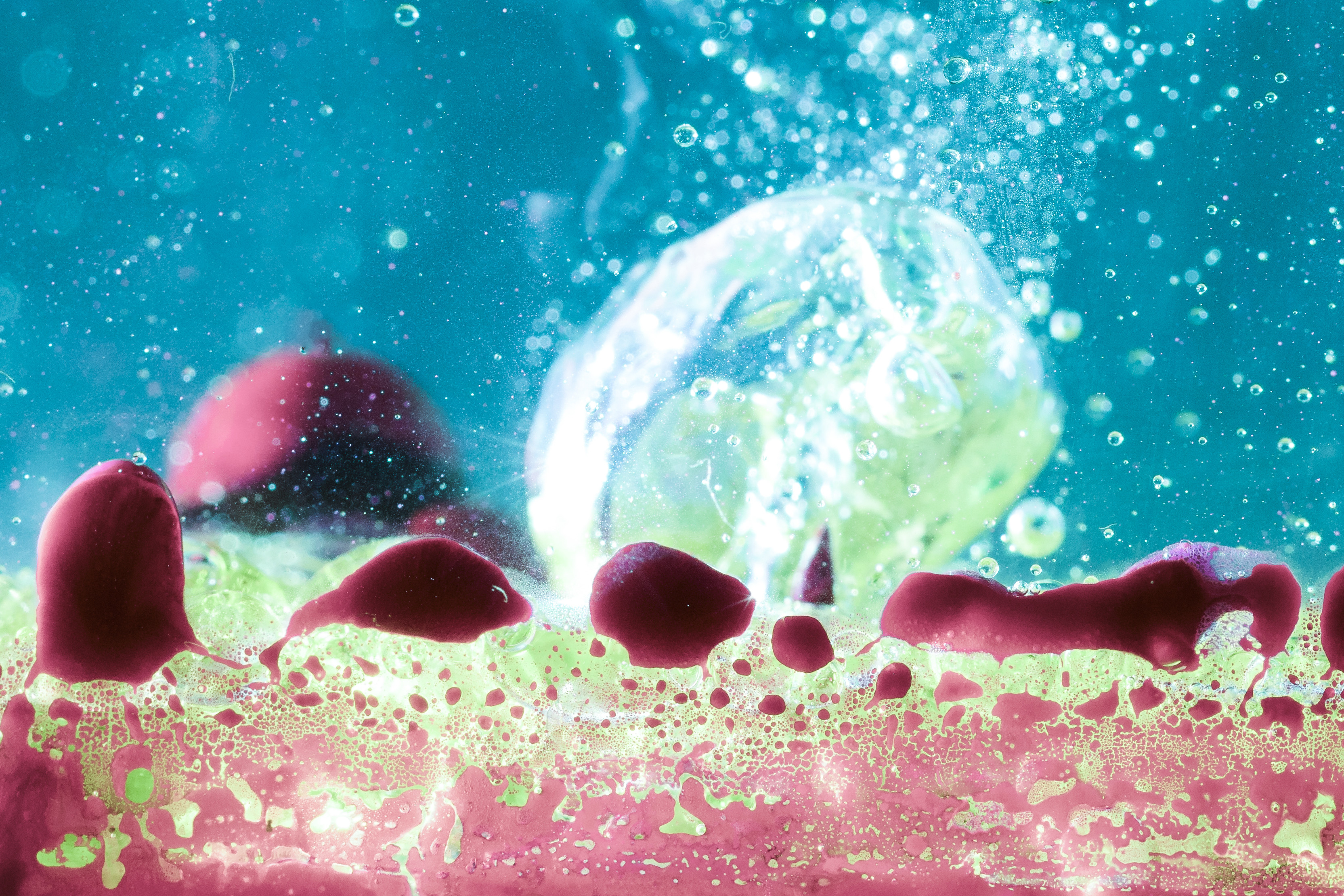 Course Image SES 814E: Advanced Microbial Ecology