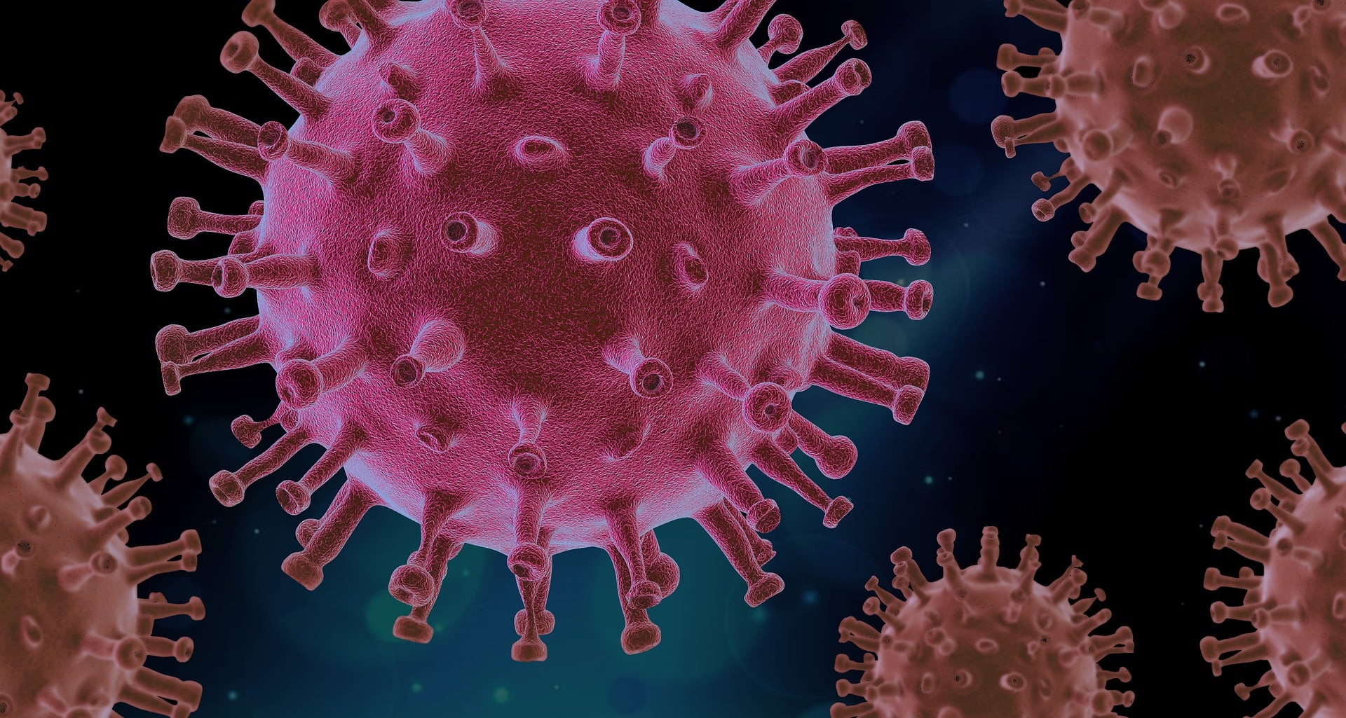 Course Image SMB 821: Advanced virology