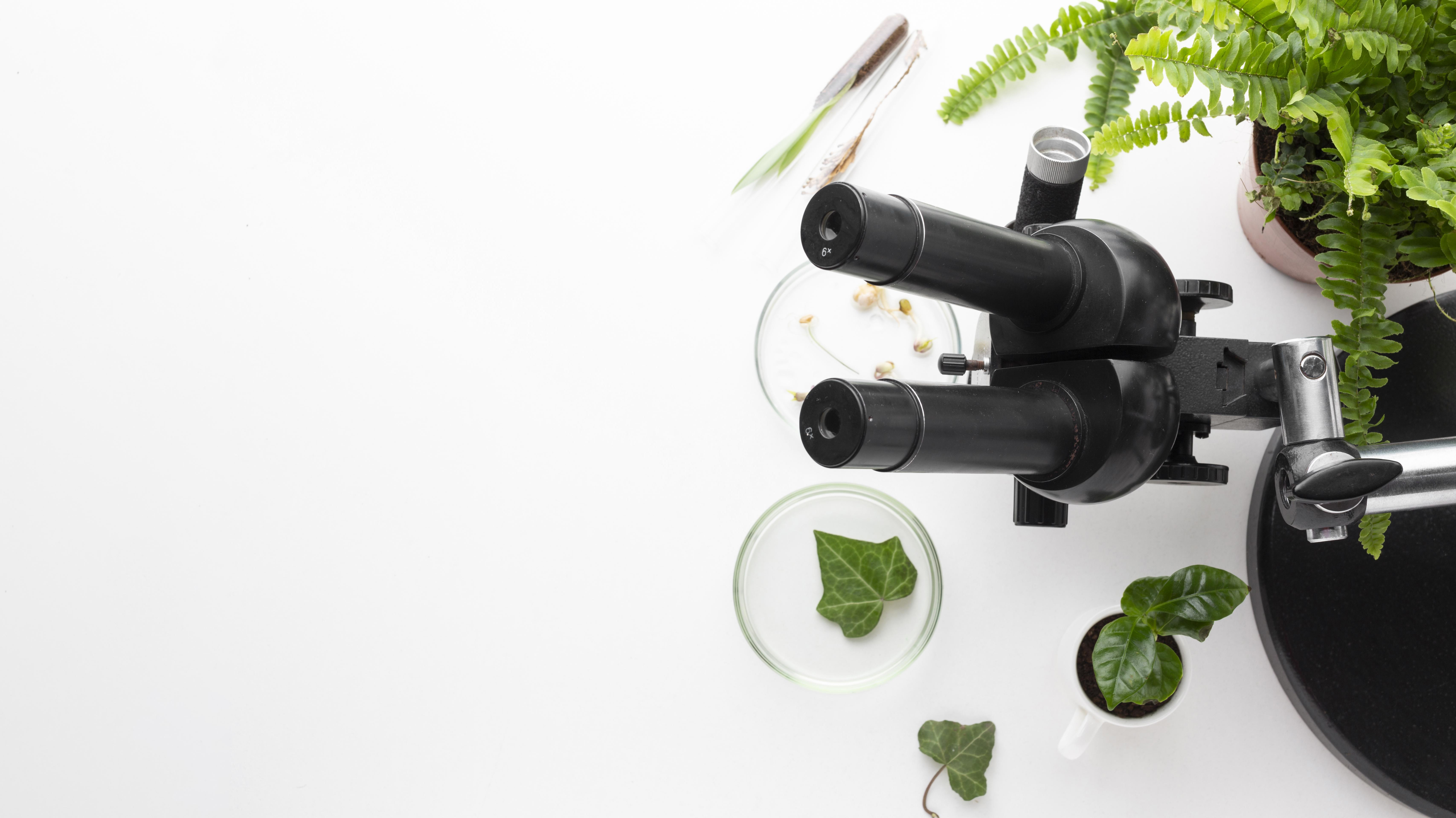Course Image SMB 825: Applied biopharmaceutical biotechnology